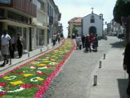 Click para ver a foto maior